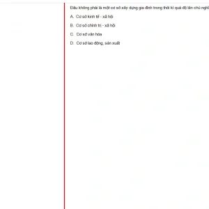 MLN131 FA24 B5 FE_023.webp
