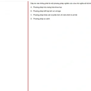 MLN131 FA24 B5 FE_026.webp