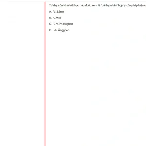 MLN131 FA24 B5 FE_027.webp