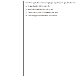 MLN131 FA24 B5 FE_033.webp