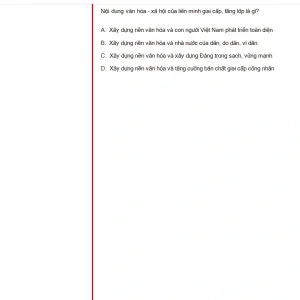 MLN131 FA24 B5 FE_037.webp