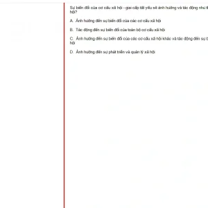 MLN131 FA24 B5 FE_038.webp