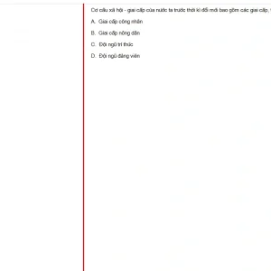 MLN131 FA24 B5 FE_040.webp
