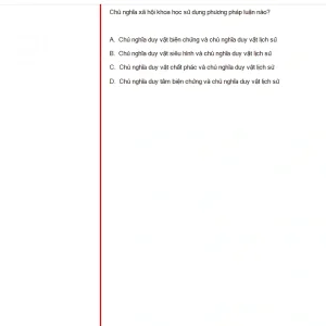 MLN131 FA24 B5 FE_046.webp