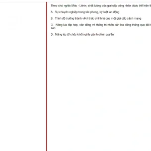 MLN131 FA24 B5 FE_047.webp