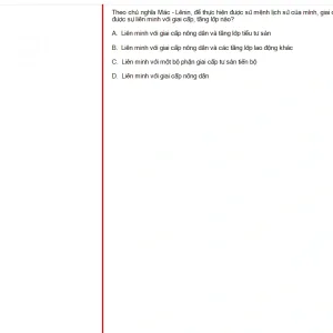 MLN131 FA24 B5 FE_051.webp