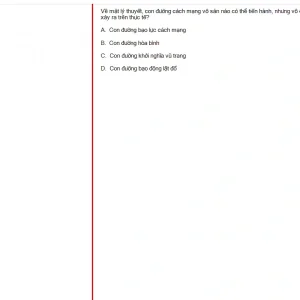 MLN131 FA24 B5 FE_053.webp