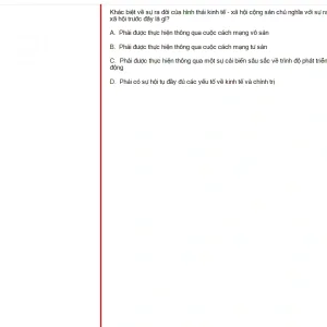 MLN131 FA24 B5 FE_057.webp
