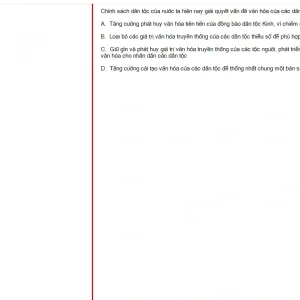MLN131 FA24 FE RE_005.webp
