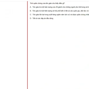 MLN131 FA24 FE RE_006.webp
