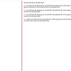 MLN131 FA24 FE RE_008.webp
