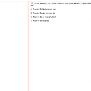 MLN131 FA24 FE RE_009.webp