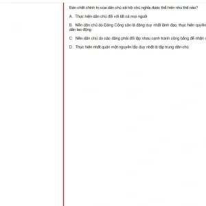 MLN131 FA24 FE RE_011.webp