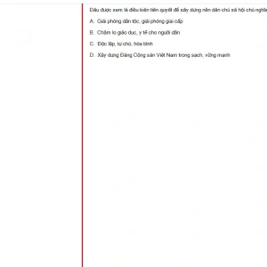 MLN131 FA24 FE RE_012.webp
