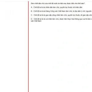 MLN131 FA24 FE RE_016.webp