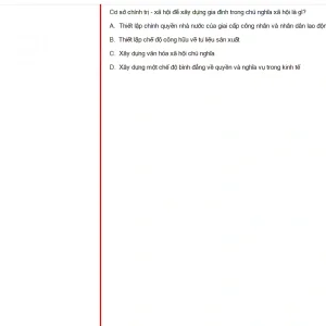 MLN131 FA24 FE RE_017.webp