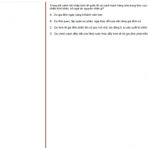 MLN131 FA24 FE RE_018.webp