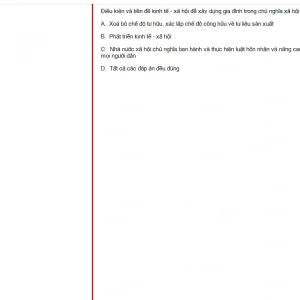 MLN131 FA24 FE RE_021.webp