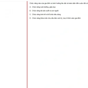 MLN131 FA24 FE RE_022.webp