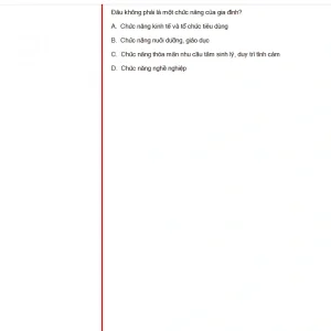MLN131 FA24 FE RE_023.webp