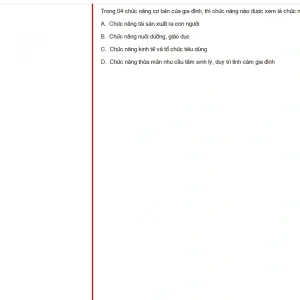 MLN131 FA24 FE RE_024.webp