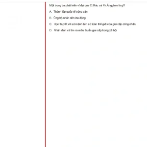 MLN131 FA24 FE RE_025.webp
