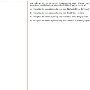MLN131 FA24 FE RE_026.webp