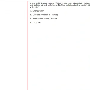 MLN131 FA24 FE RE_027.webp