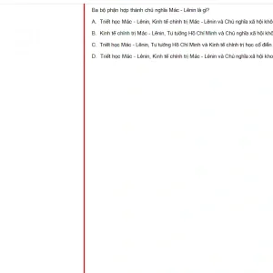 MLN131 FA24 FE RE_030.webp