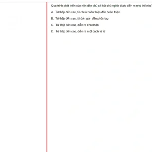 MLN131 FA24 FE RE_032.webp