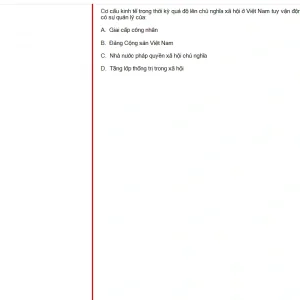 MLN131 FA24 FE RE_036.webp