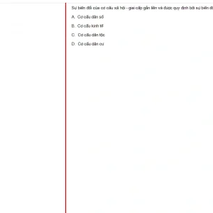 MLN131 FA24 FE RE_037.webp