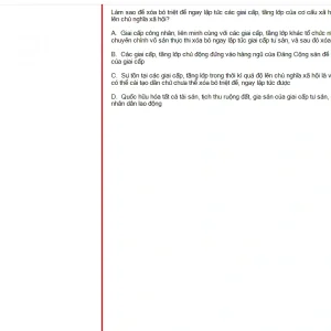 MLN131 FA24 FE RE_039.webp