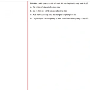 MLN131 FA24 FE RE_040.webp