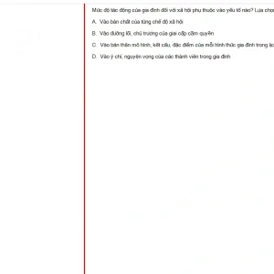 MLN131 FA24 FE RE_041.webp
