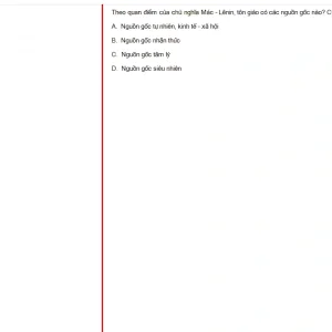 MLN131 FA24 FE RE_042.webp