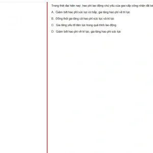 MLN131 FA24 FE RE_045.webp