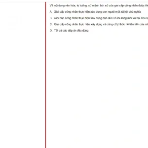 MLN131 FA24 FE RE_046.webp