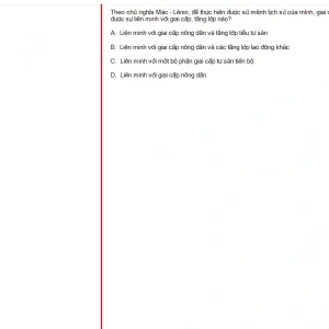 MLN131 FA24 FE RE_047.webp