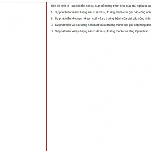 MLN131 FA24 FE RE_057.webp