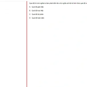 MLN131 FA24 FE RE_058.webp