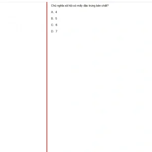 MLN131 FA24 FE RE_059.webp