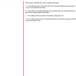 MLN131 FA24 FE RE_060.webp