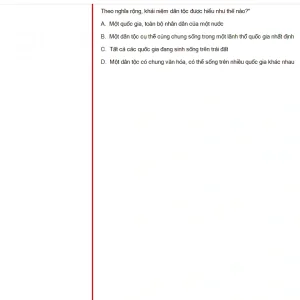 MLN131 FA24 FE_005.webp