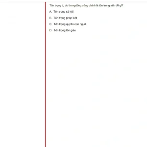 MLN131 FA24 FE_006.webp