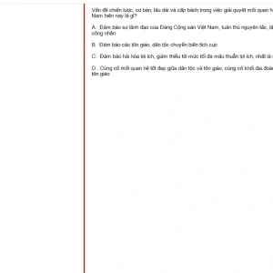 MLN131 FA24 FE_007.webp