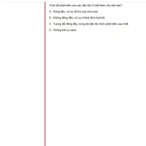MLN131 FA24 FE_008.webp