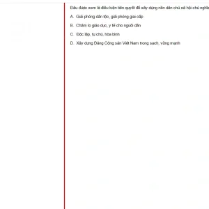 MLN131 FA24 FE_010.webp
