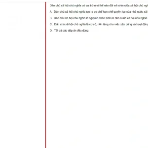 MLN131 FA24 FE_011.webp
