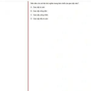 MLN131 FA24 FE_013.webp